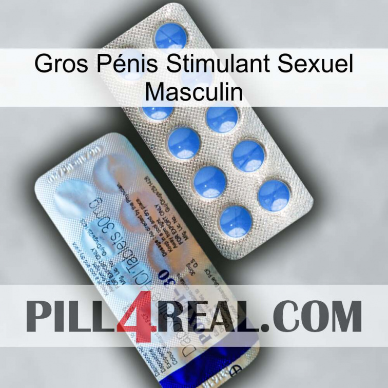 Gros Pénis Stimulant Sexuel Masculin 39